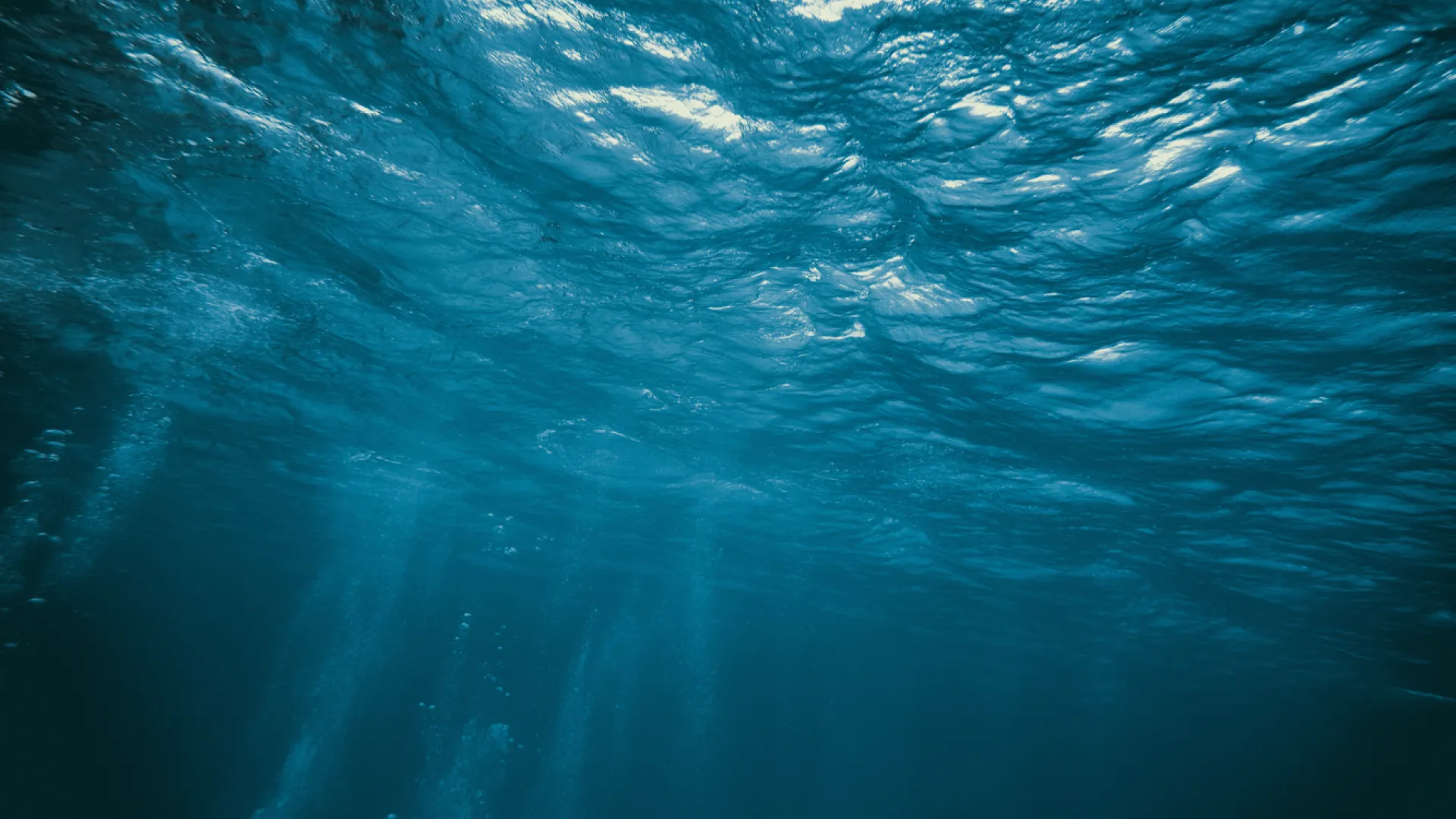 Bild under vatten, blåa färger. 
